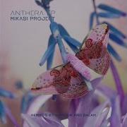 Mikasi Project Anthera Balam Remix
