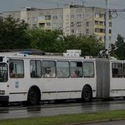 Вырезанный Фрагмент Барбоскины 2011 Россия 1