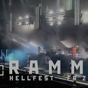 Rammvier Backing