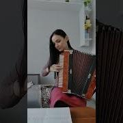 Эльбрус Красавец На Гармошке