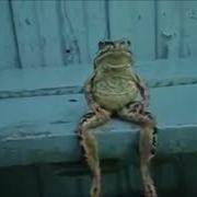 Look At This Distinguished Gentleman Look At The Way He Is Sitting