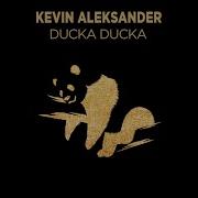 Kevin Aleksander Ducka Ducka I M All Fine