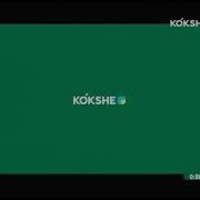 Уход На Профилактику Канала Kokshe