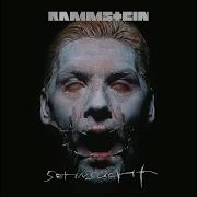 Tier Rammstein