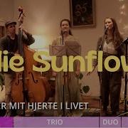 Julie Sunflower