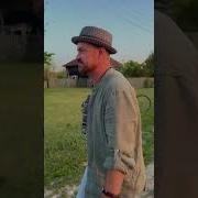 А Жизнь Моя С Гармошкой Сумишевский
