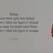 Cygo Panda E Текст Песни Cygo Panda E Lyrics