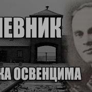 Зелман Градовски