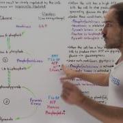 Https Www Youtube Com Watch V X0Qza1Fa4Bq Pp 0Gcjcdgao7Vqn5Td