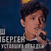 Димаш Любовь Уставших Лебедей