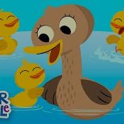 Quack Duck
