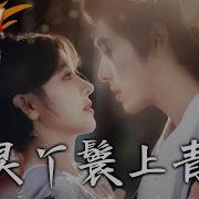 林满满