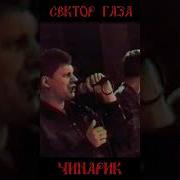 Сектор Газа Чинарик Неизданная