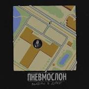 Пневмослон Выборы В Дурке