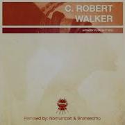 Nobody Else But You C Robert Walker