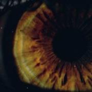 Everything R3Hab Skytech