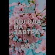 Погода В Александрове На Неделю