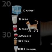 Кролик Хоппи