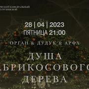 Саксофон Флейта И Дудук Душа Абрикосового Дерева