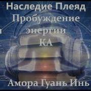 Амора Гуань Инь Наследие Плея