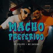 Zé Felipe Mc Jacaré Macho Preferido Videoclipe Oficial Zé Felipe