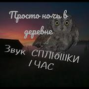 Пение Сплюшки Птицы 1Час Ночь В Деревне Часовая Версия