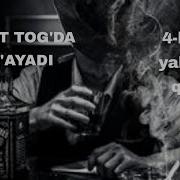 Бургут Тогда Улгаяди 4 Китоб 28 Трек