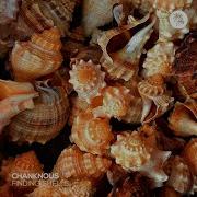 Finding Shells Extended Mix Chanknous
