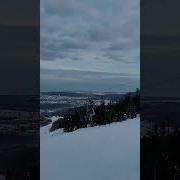 Зимний Лес Шавкунов