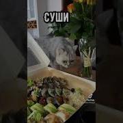 Этот Мир Прекрасен Потому Что В Нём Есть