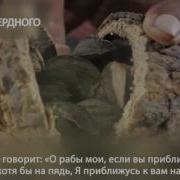 Никогда Не Теряй Надежду На Милость Аллаха