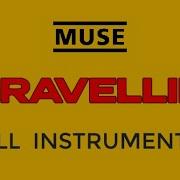 Muse Multitrax