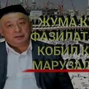 Кобил Кори Жума Куни Хакида