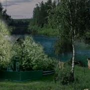 Под Окном Черемуха Колышится Бендера