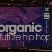 Organic Future Hip Hop Hip Hop Samples Loops By Loopmasters