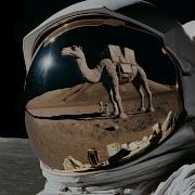 Brass Camel On The Other Side