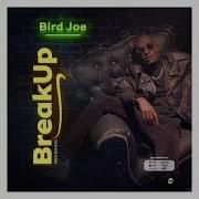 Break Up Bird Joe