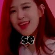 Hello My Name Is Rose