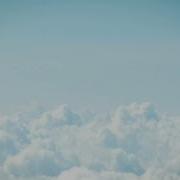 Under The Same Sky