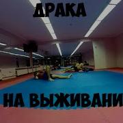 Весна Драка Под Баян