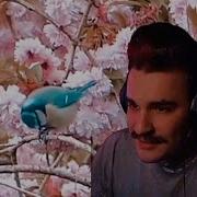 Юлик Покт Опенинг Наруто