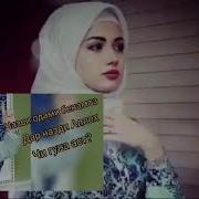 Мурочиат Ба Занхо Хочи Мирзо