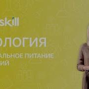 Минеральное Питание Растений Удобрения