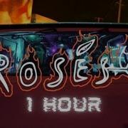 Roses Loop