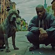 Wu Tang Clan Dmx Lethal Ft Swizz Beatz