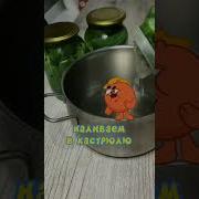 Огурец От Копатыча