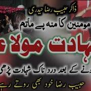 Zakir Habib Raza Haideri 2023 Shahadat Mola Ali As Shahadat Sadaat Network