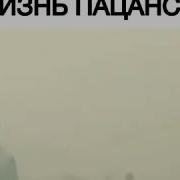 Все Ищут Это Видео Бомба 2018
