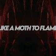 Swedish House Mafia Like A Moth To Flame Level Up Jack Tongue Afro House Remix