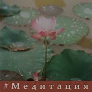 Лотос Медитационный Клуб Красивая Природа